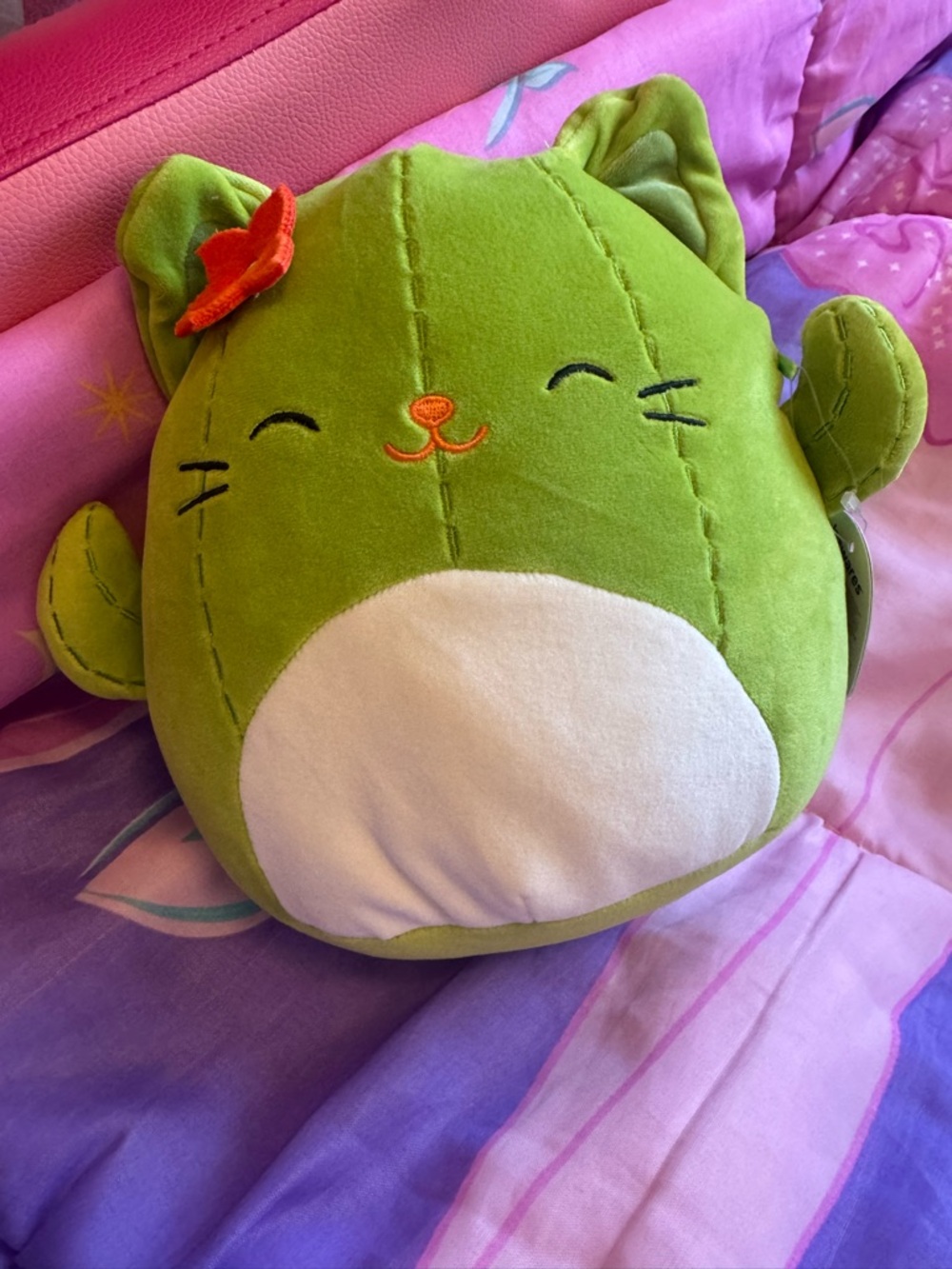 New 8 inch Squishmallows Ms. Miss the Cactus Cat plush toy